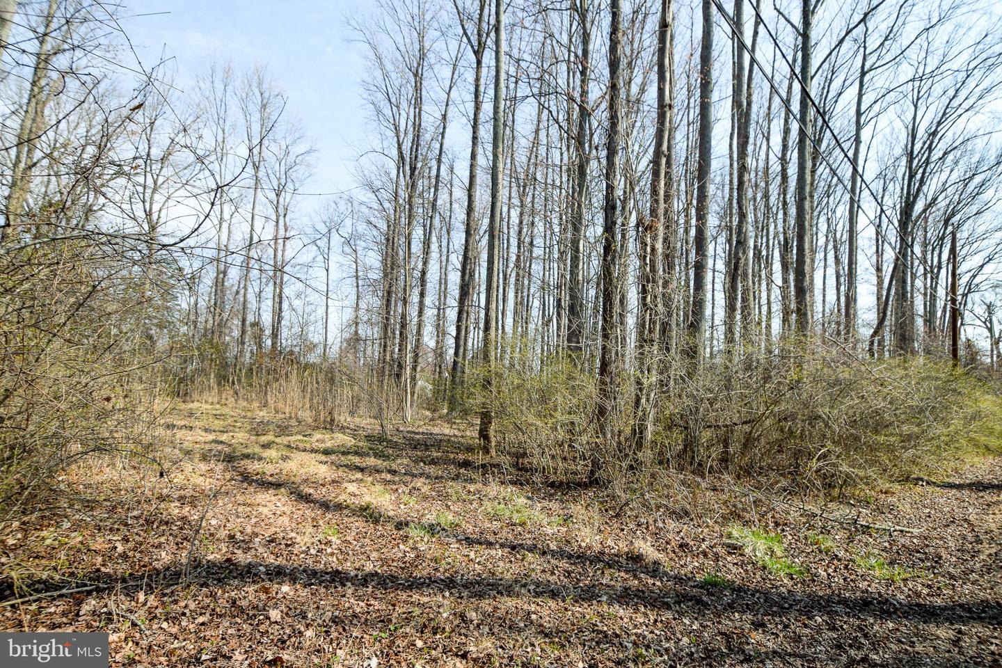 3904 Goose Harbor Rd Property Photo 21