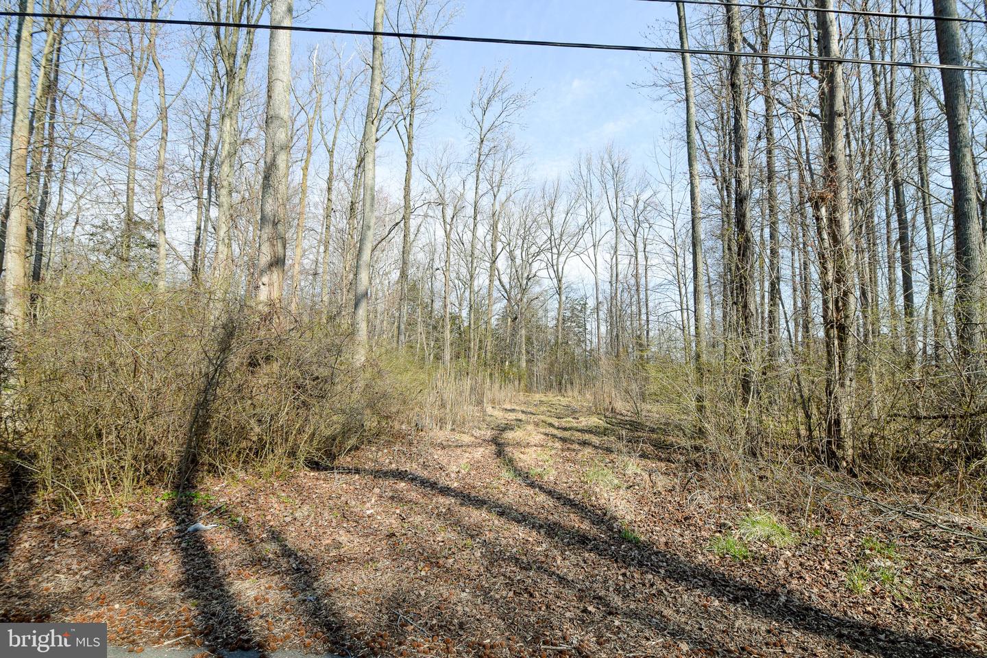 3904 Goose Harbor Rd Property Photo 22