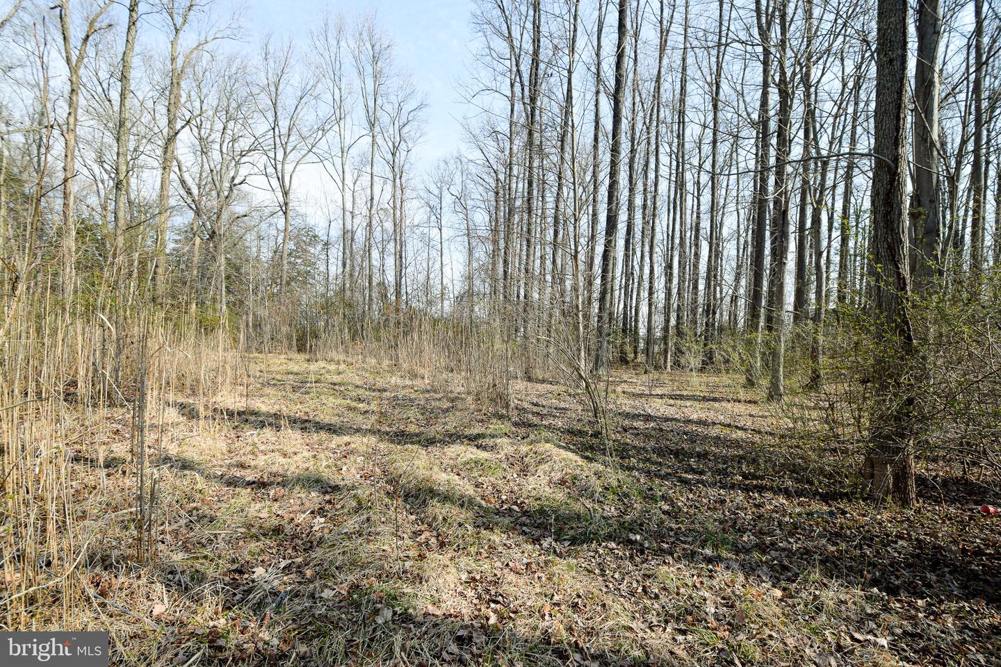 3904 Goose Harbor Rd Property Photo 23