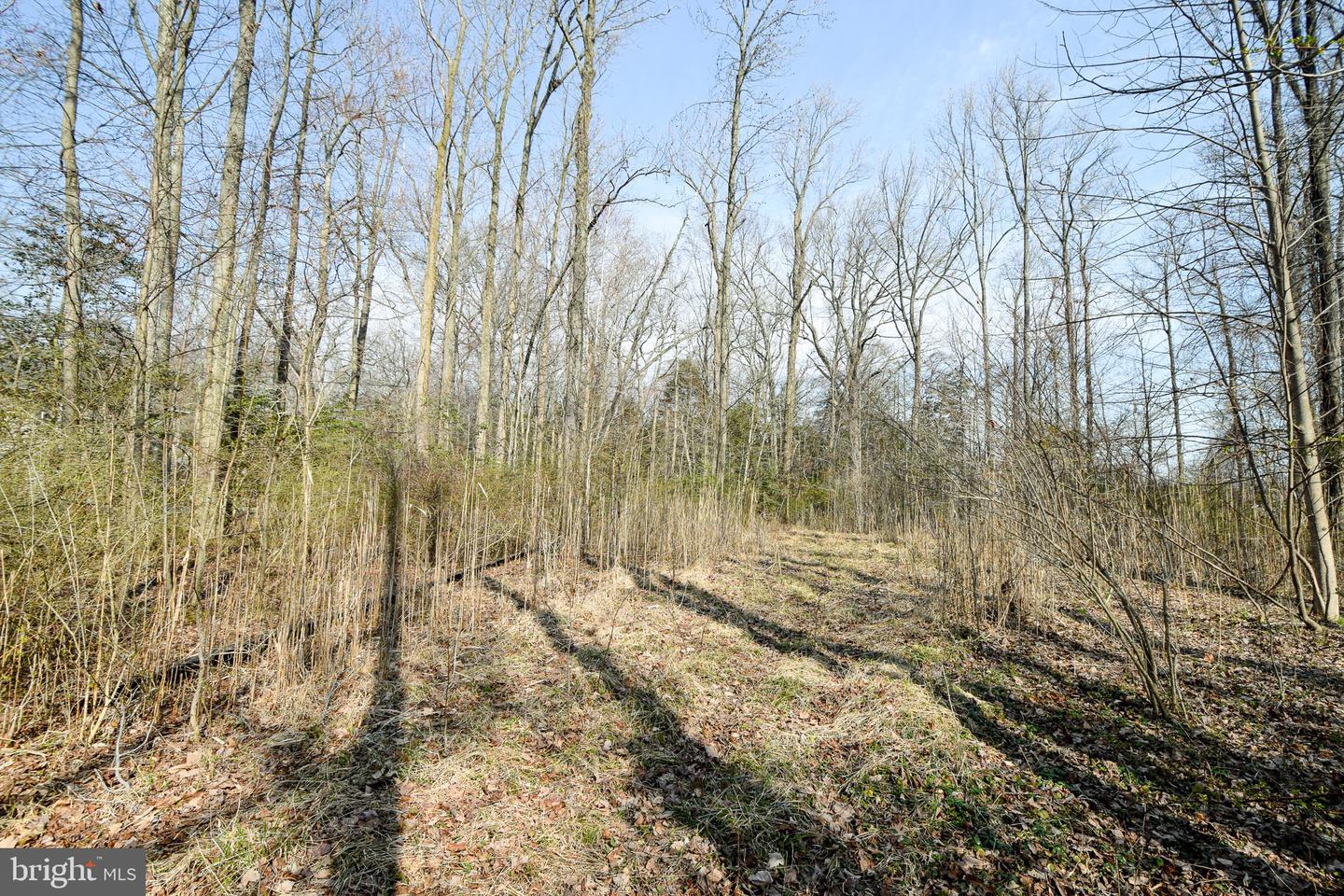 3904 Goose Harbor Rd Property Photo 24