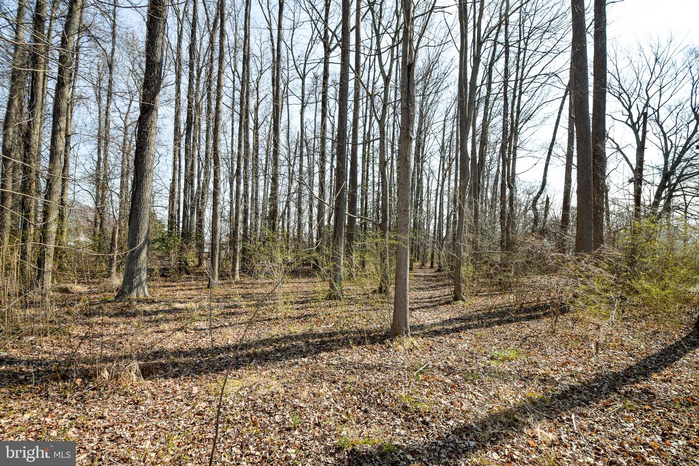 3904 Goose Harbor Rd Property Photo 25
