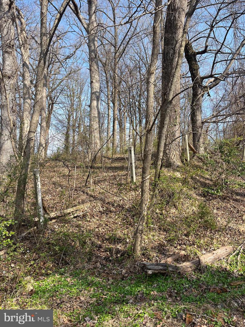 Steffeny Rd Property Photo 1