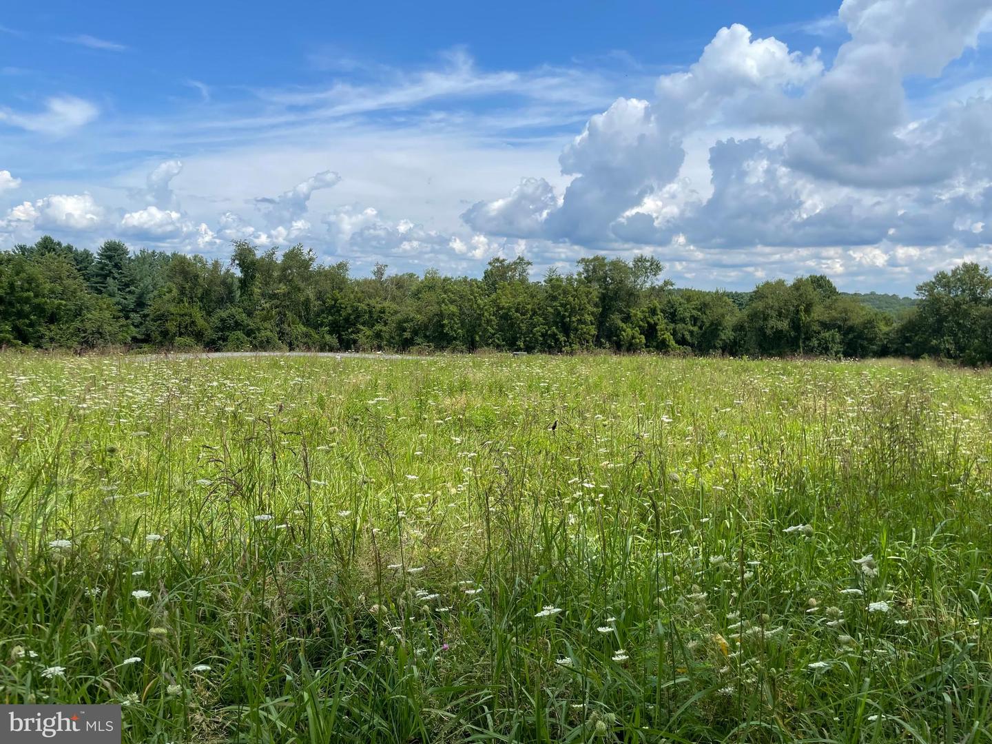 13943 Old Hanover Road Property Photo 17