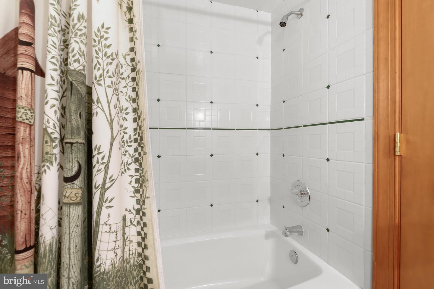 3903 Dance Mill Rd Property Photo 51