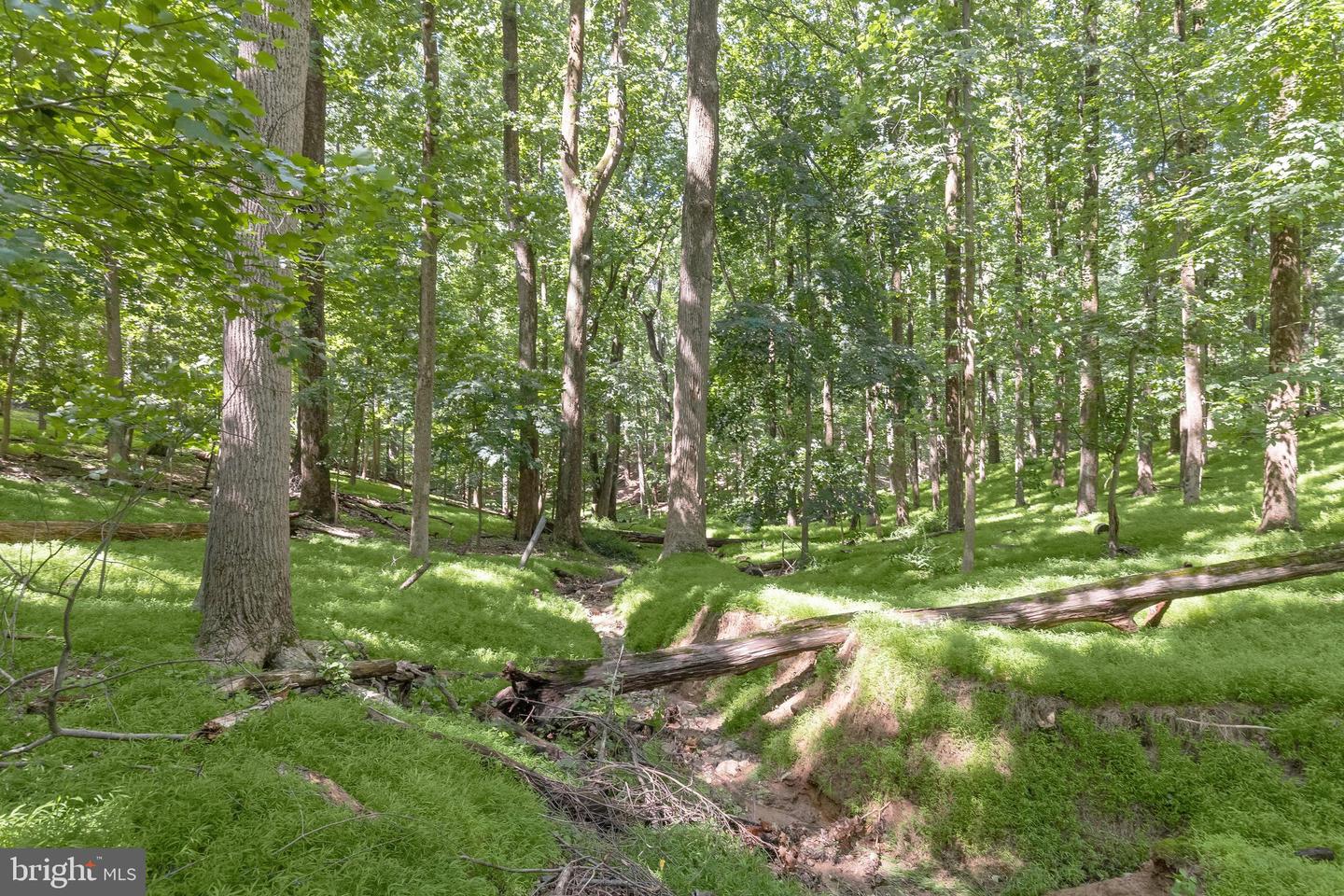 3903 Dance Mill Rd Property Photo 68