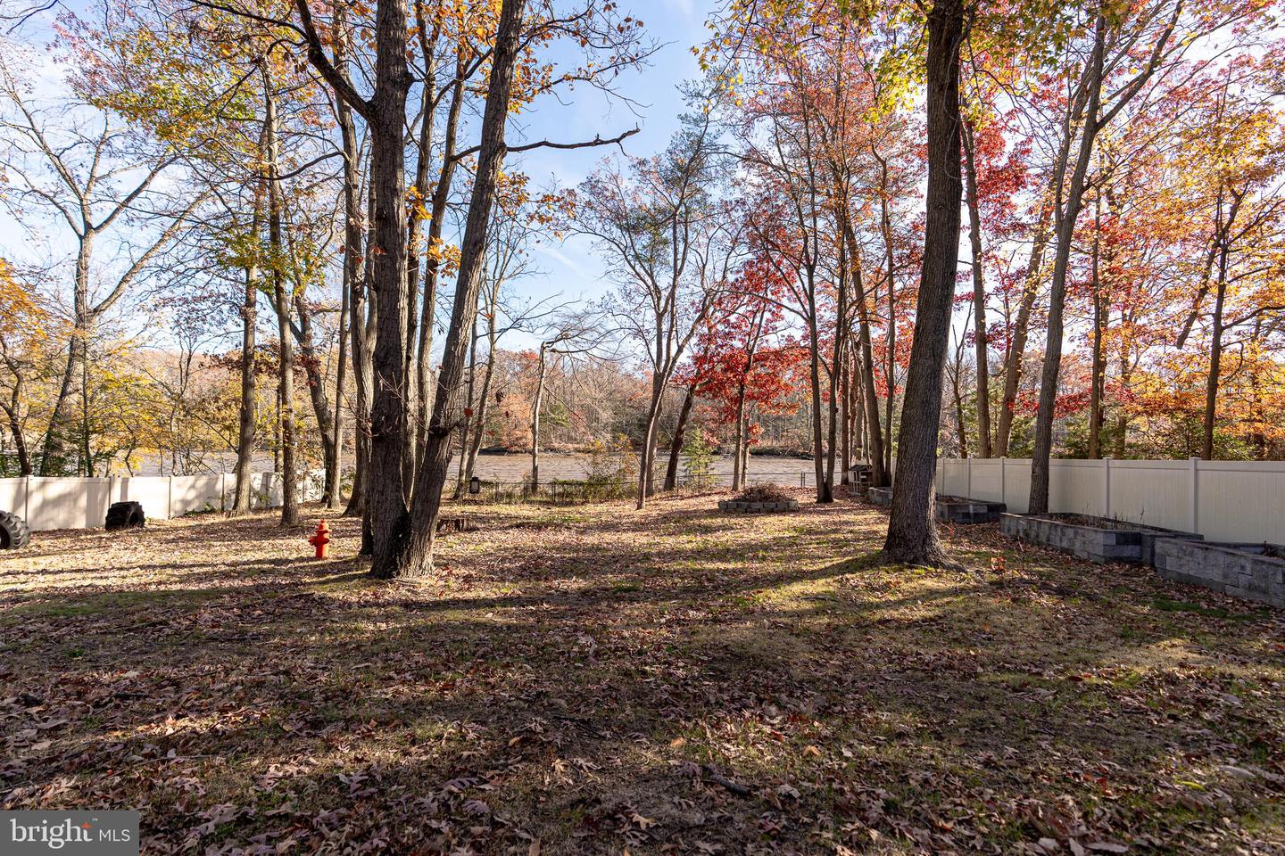 811 Cedar Ave Property Photo 26