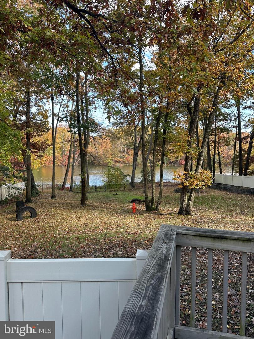 811 Cedar Ave Property Photo 35