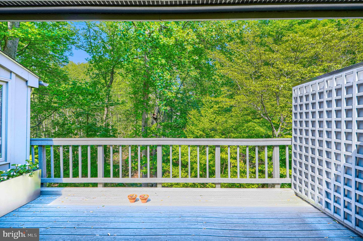 2504 Stone Mill Road Property Photo 46