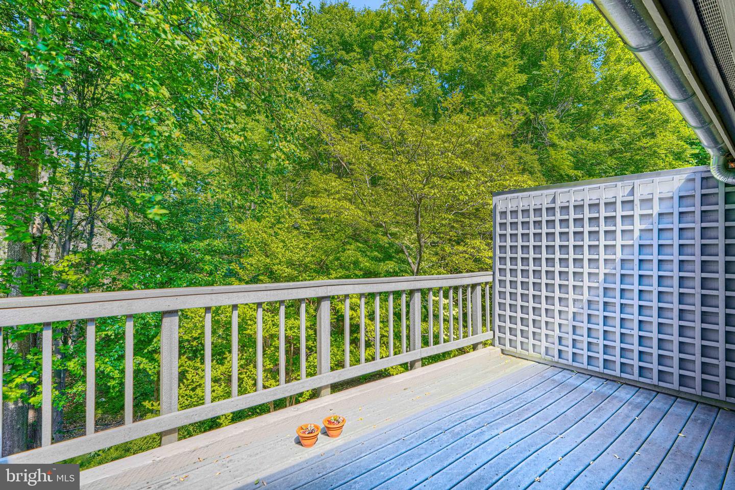 2504 Stone Mill Road Property Photo 47