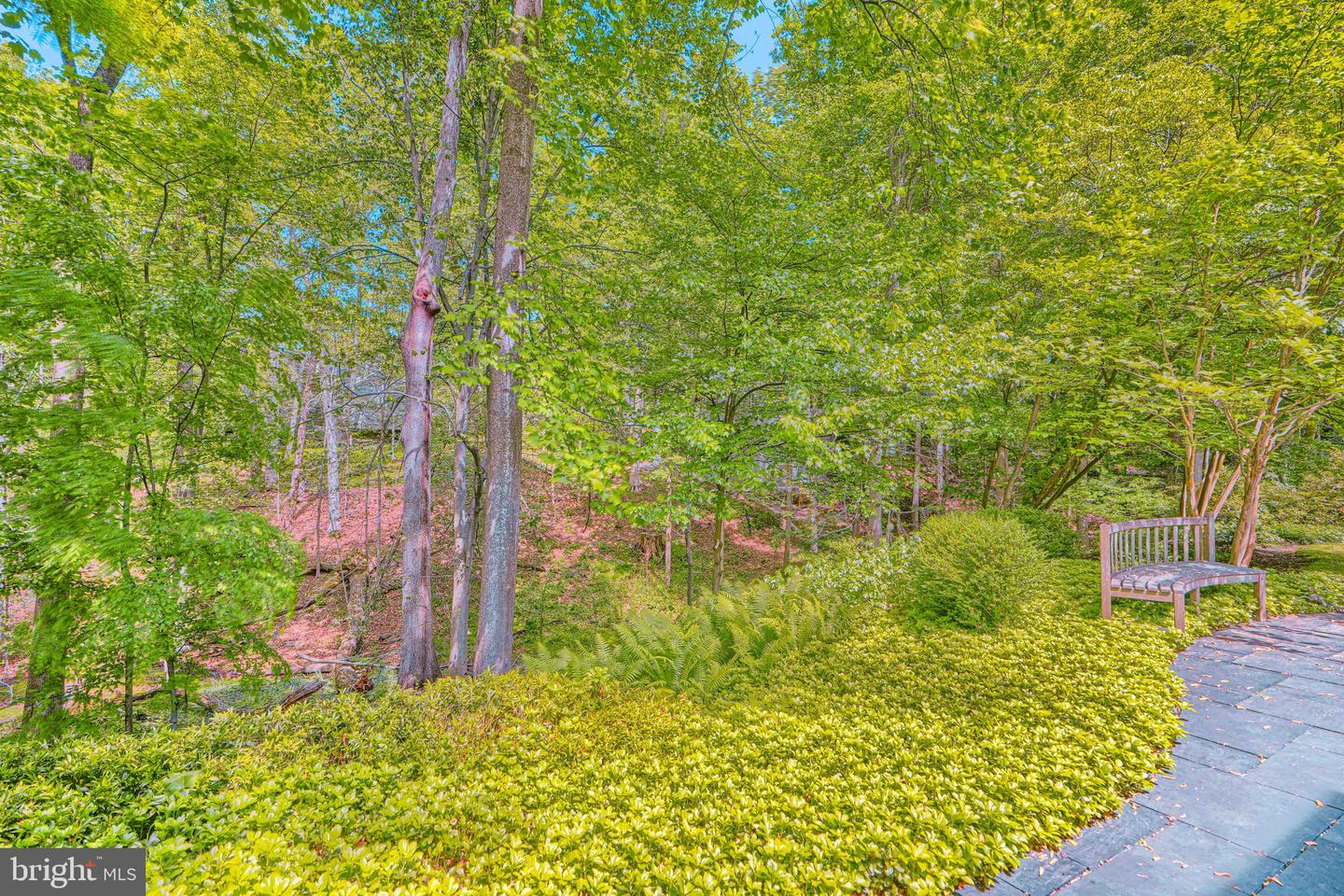2504 Stone Mill Road Property Photo 107
