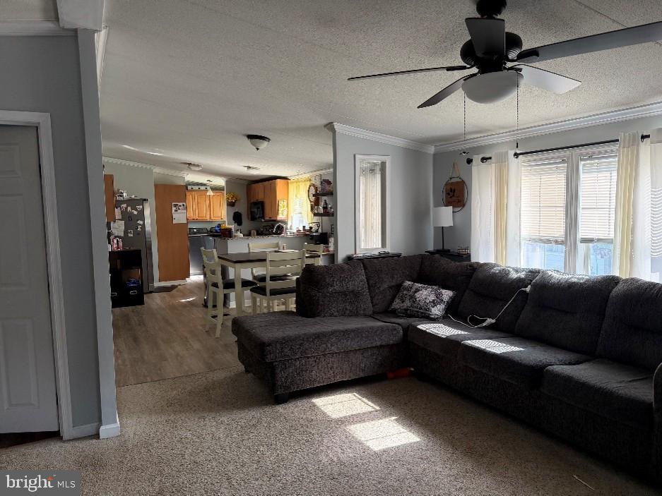 14 Thomas Ln Property Photo 9