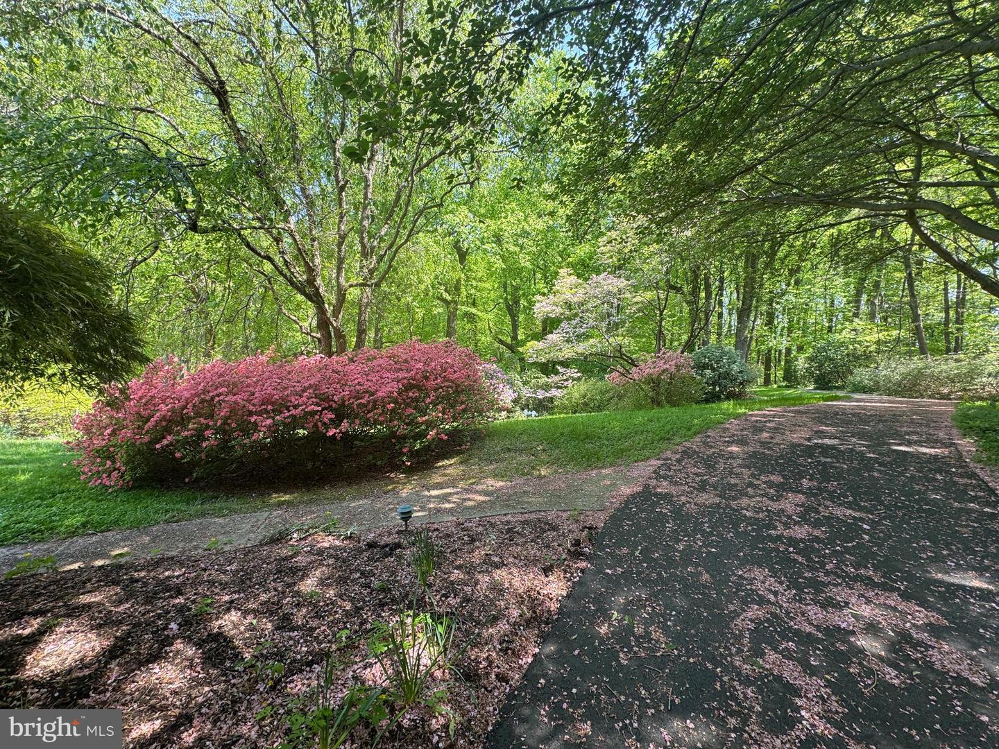 6008 Fork Woods Rd Property Photo 10