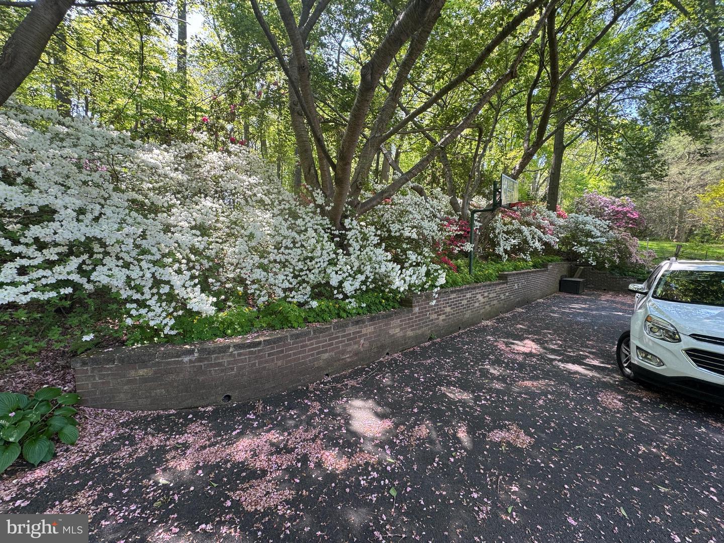 6008 Fork Woods Rd Property Photo 12