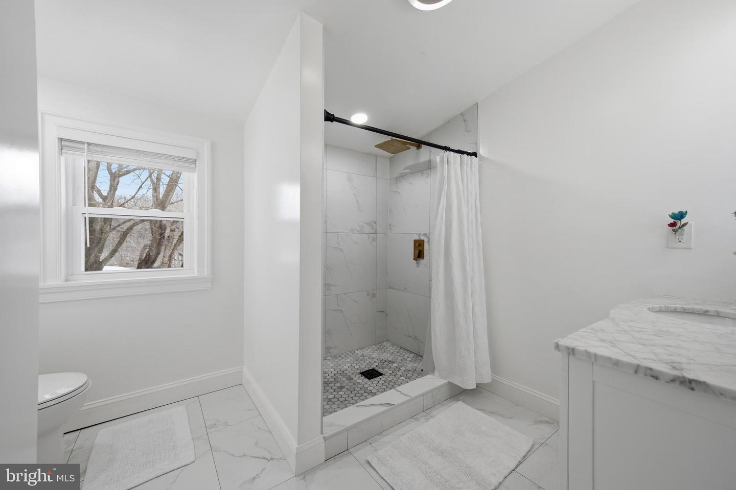 3524 Blenheim Rd Property Photo 37
