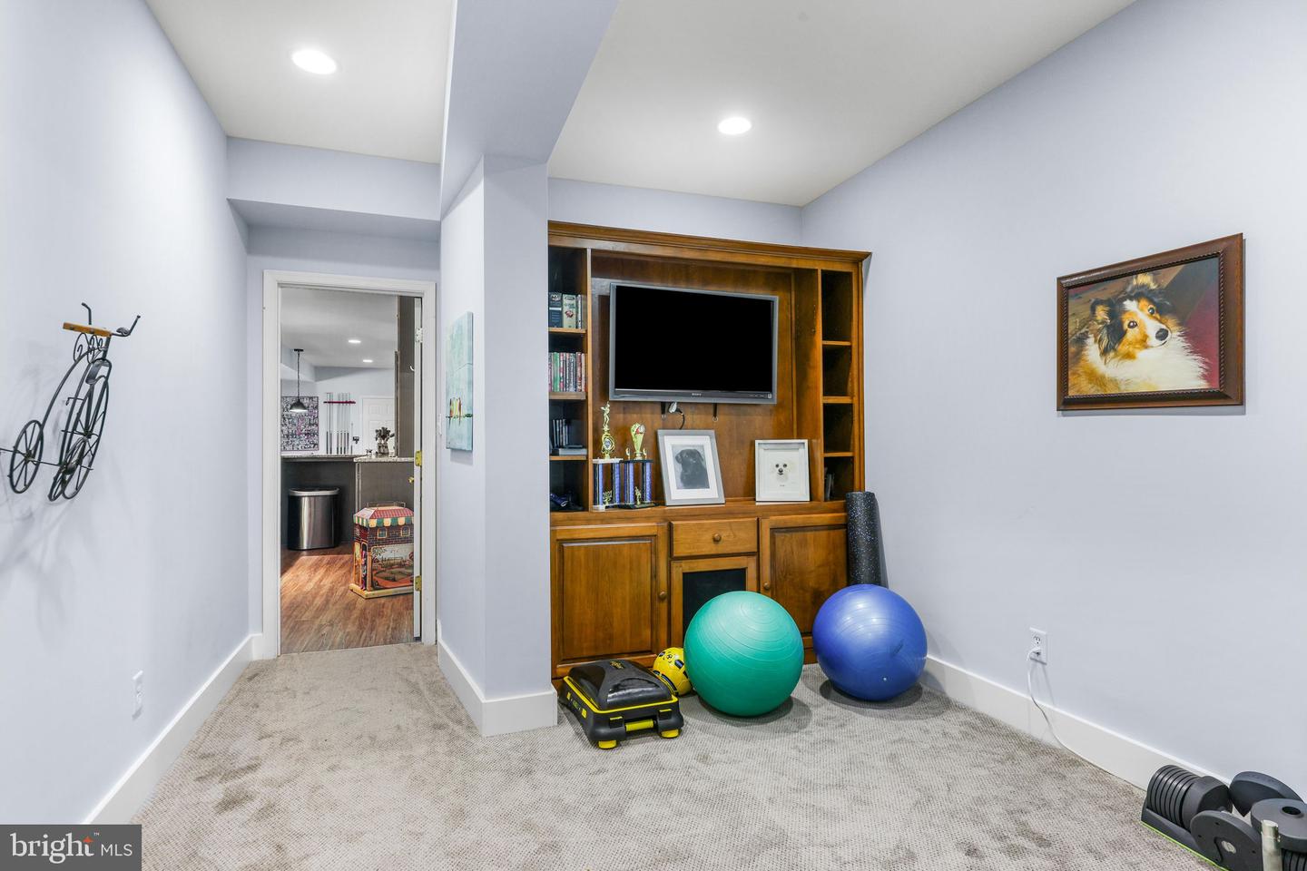 5 Carroll Run Ct Property Photo 81