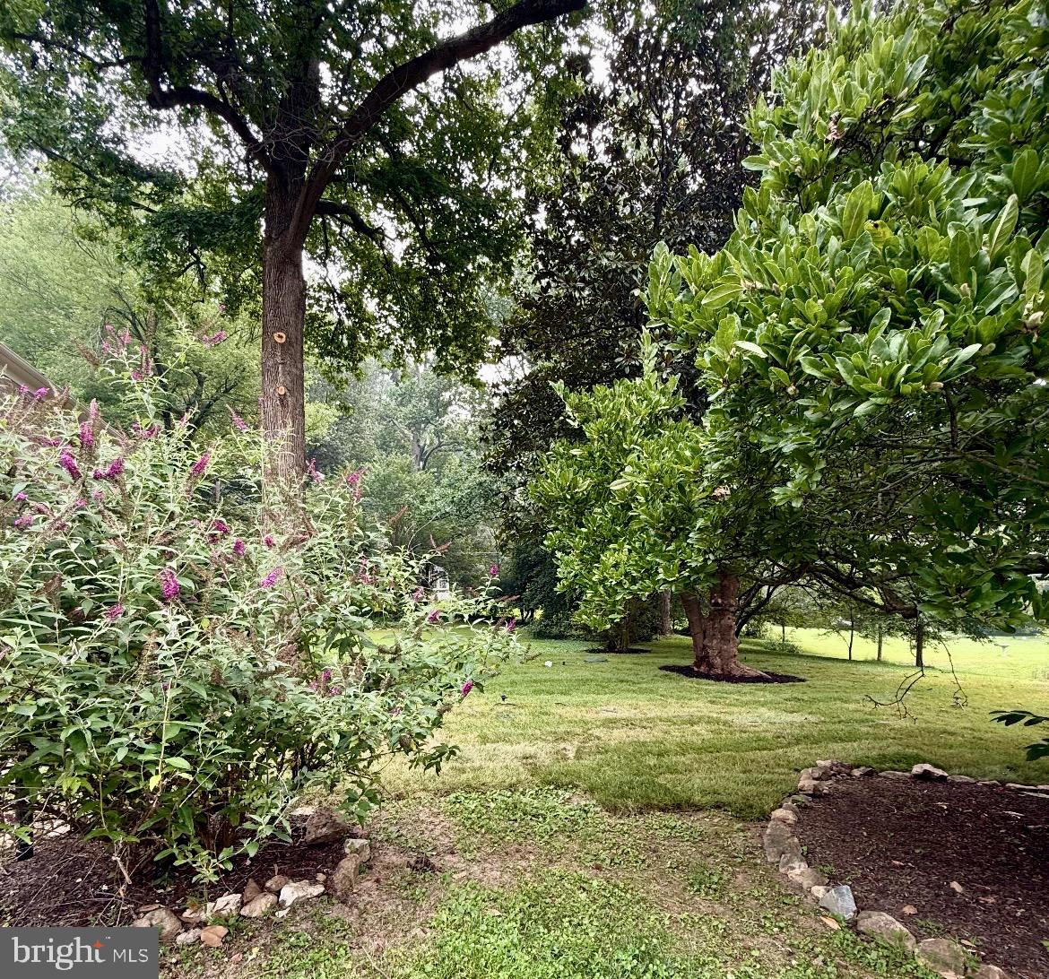 13001 Dulaney Valley Rd Property Photo 56
