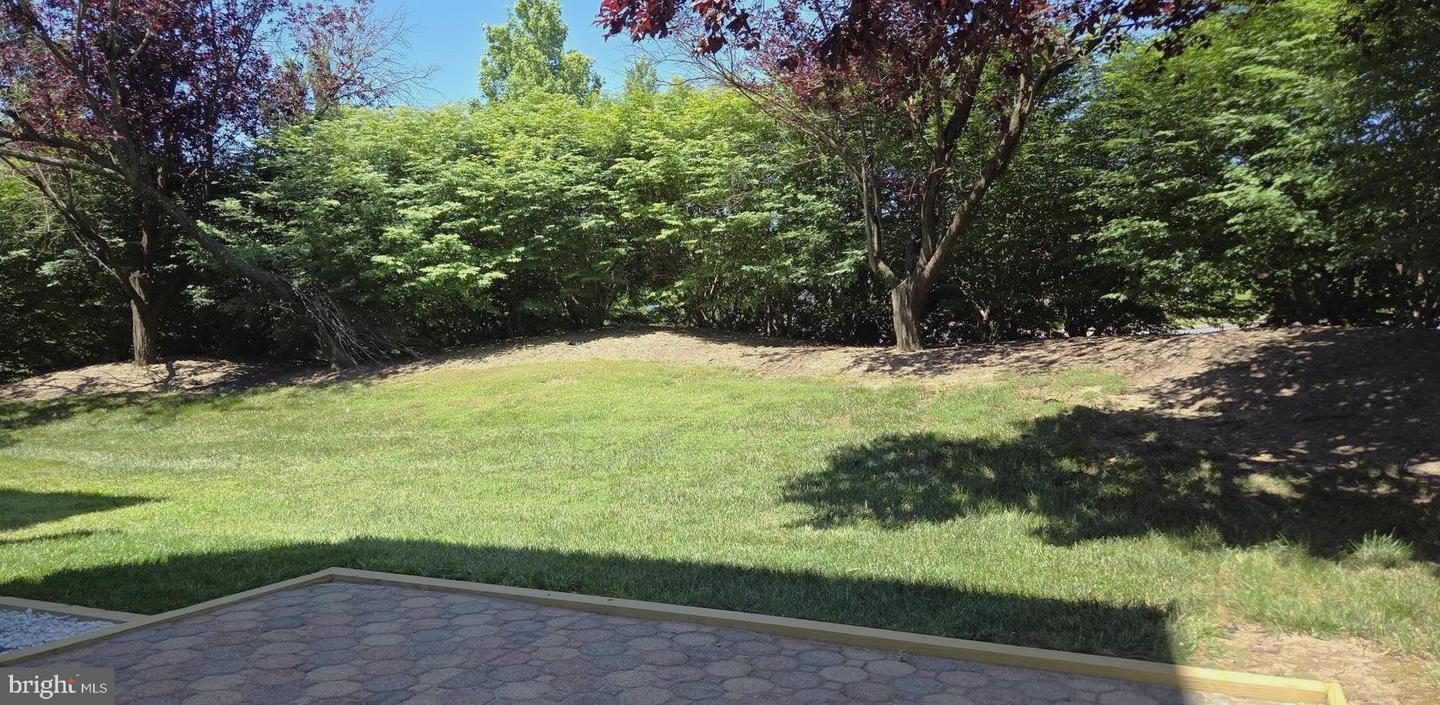 9776 Harvester Cir Property Photo 6