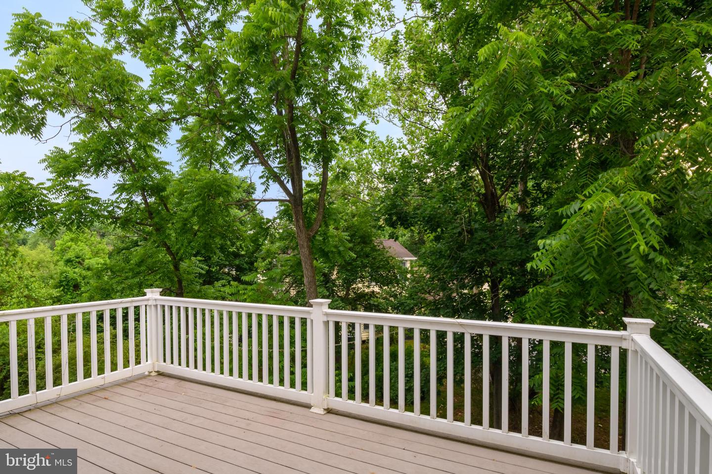33 Greensborough Rd Property Photo 13