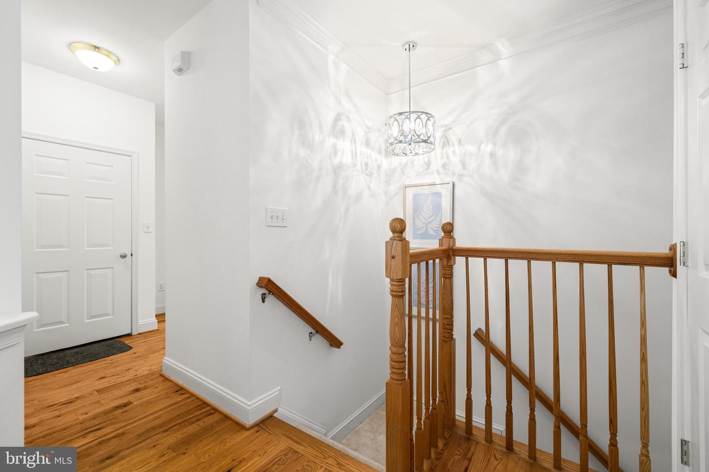 543 Allegheny Ave Property Photo 11