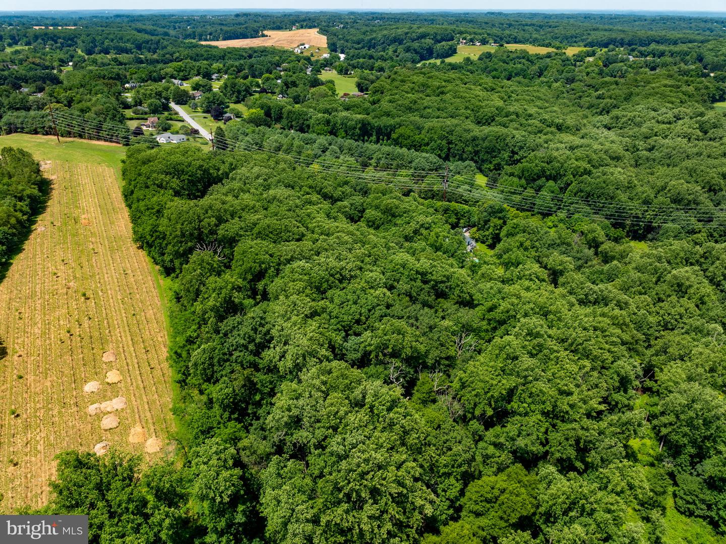 14309-a Carroll Ridge Ct Property Photo 5