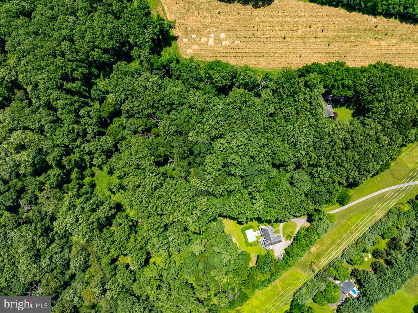 14309-a Carroll Ridge Ct Property Photo 7