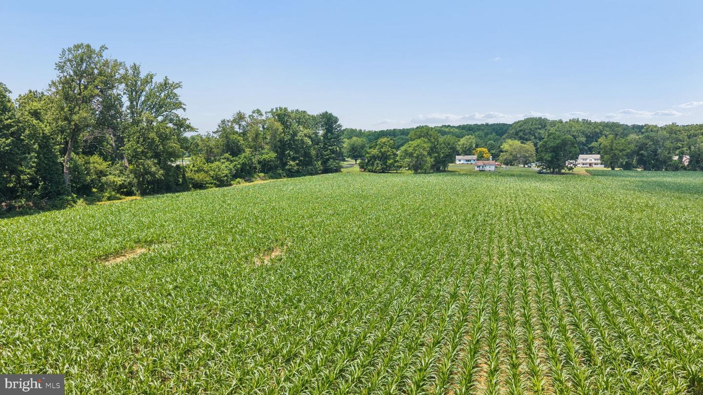 7219 New Cut Rd Property Photo 25