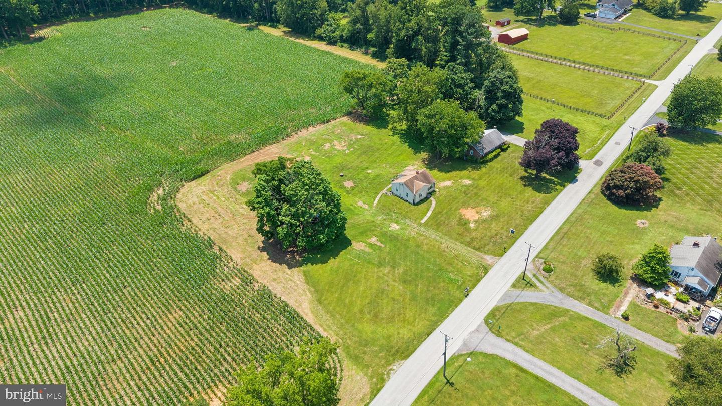 7219 New Cut Rd Property Photo 18