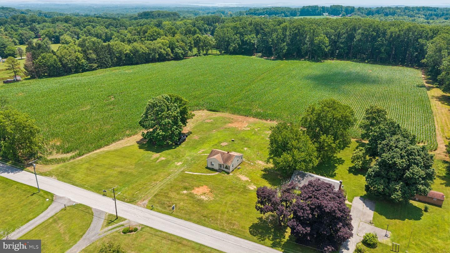 7219 New Cut Rd Property Photo 19