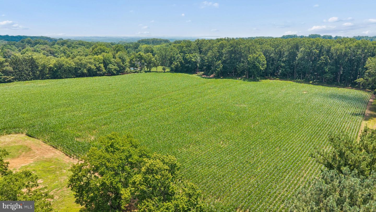 7219 New Cut Rd Property Photo 20