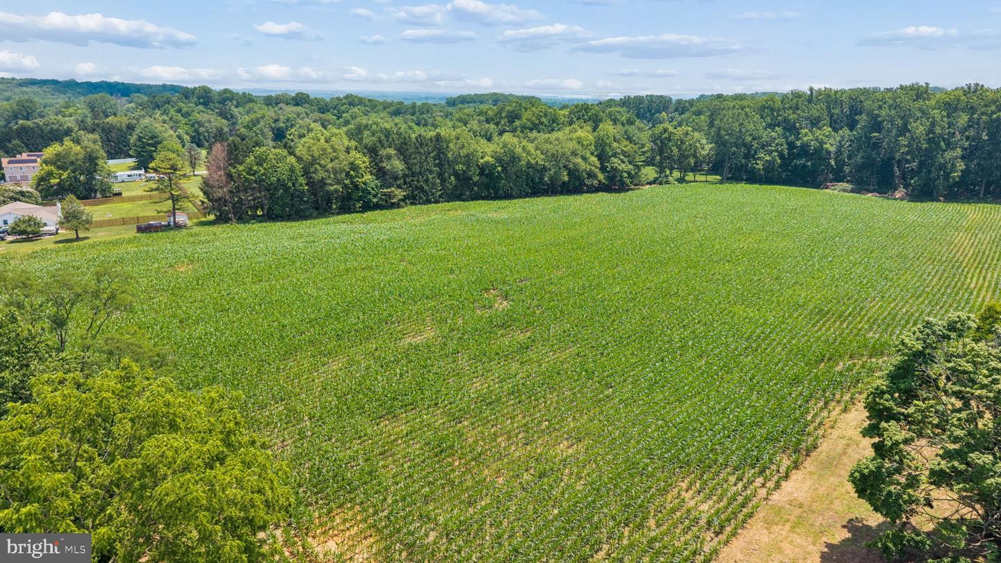 7219 New Cut Rd Property Photo 21