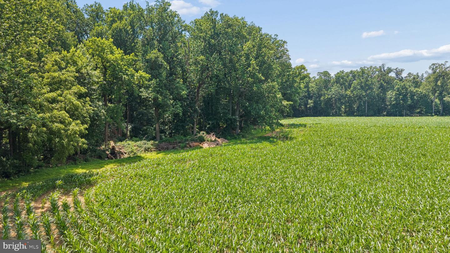 7219 New Cut Rd Property Photo 23
