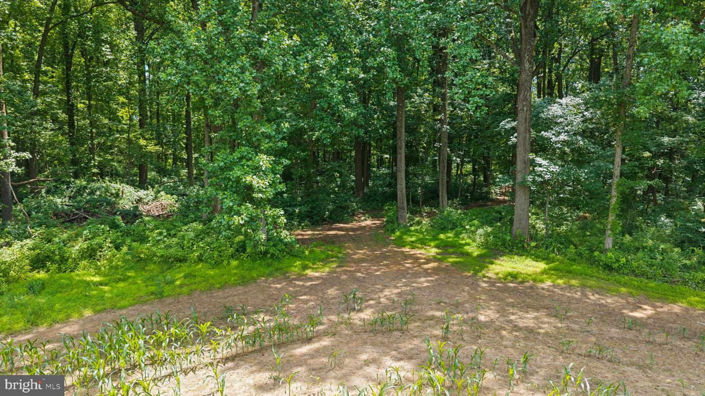 7219 New Cut Rd Property Photo 24