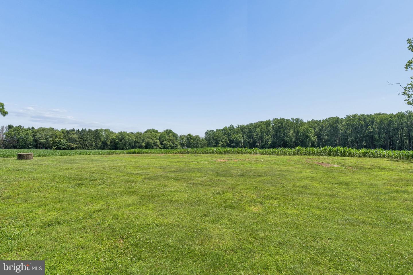 7219 New Cut Rd Property Photo 34