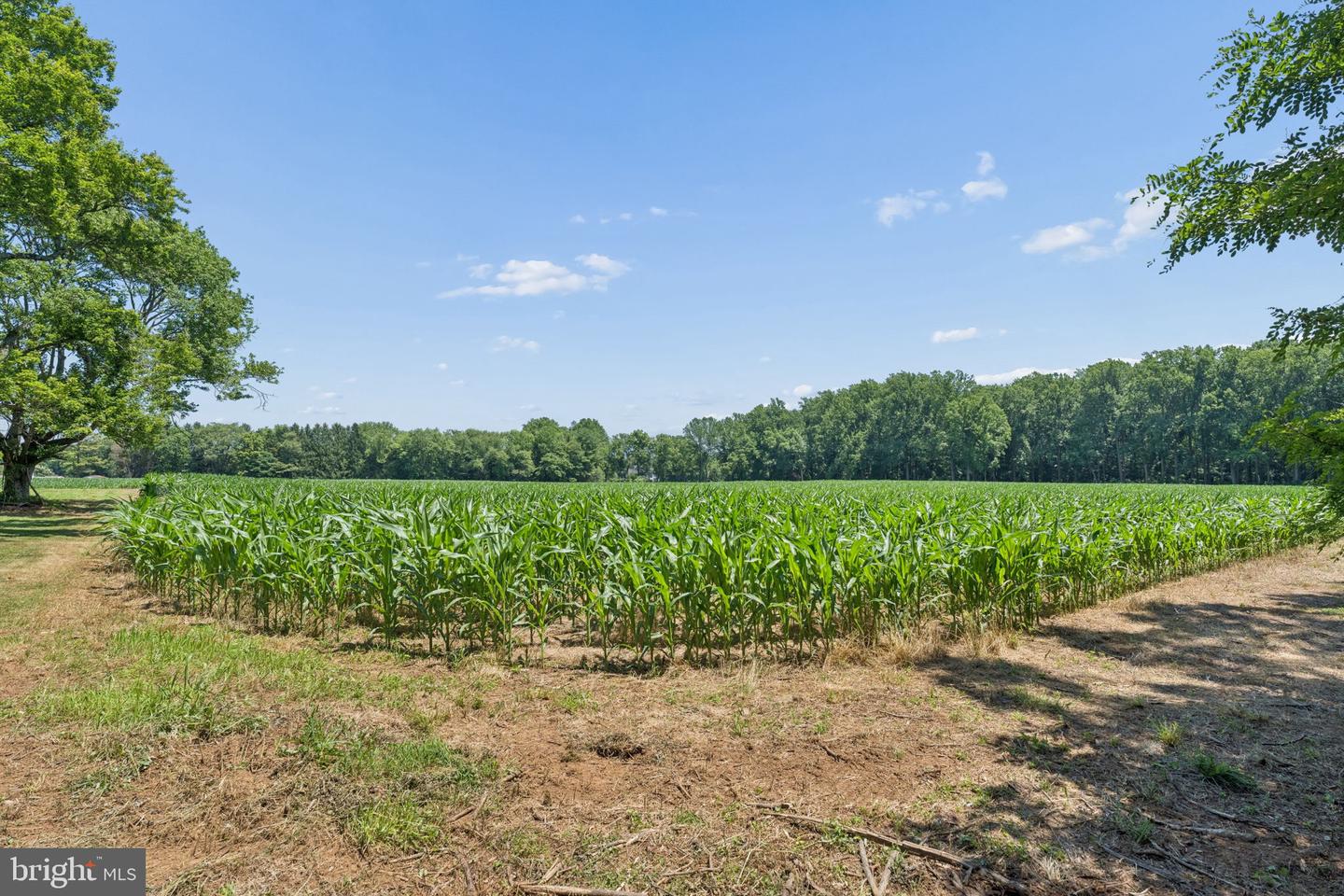 7219 New Cut Rd Property Photo 35