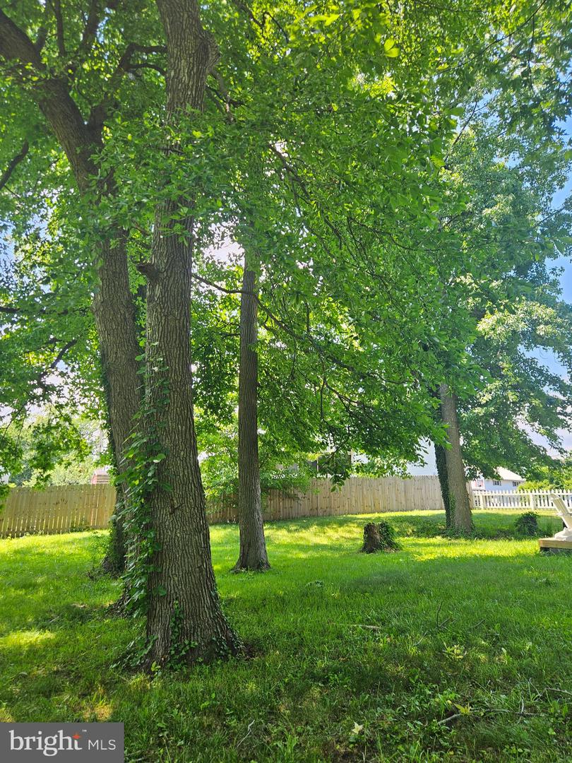 2023 Middleborough Rd Property Photo 36