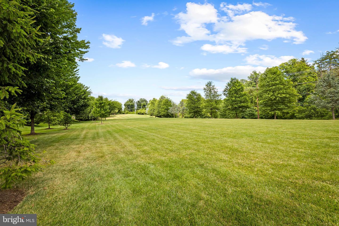 14017 Fox Hill Rd Property Photo 37