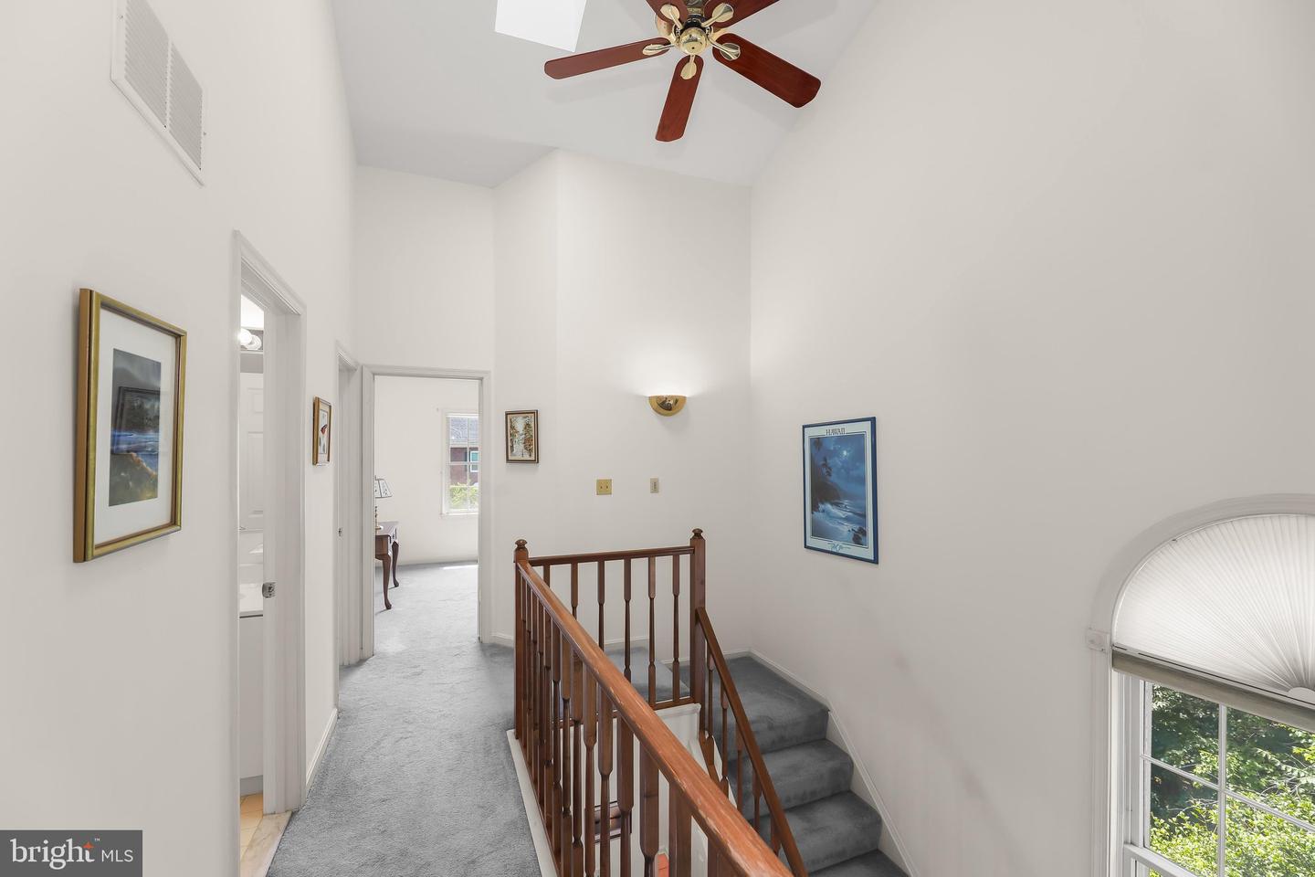 16 Hewetson Ct Property Photo 19