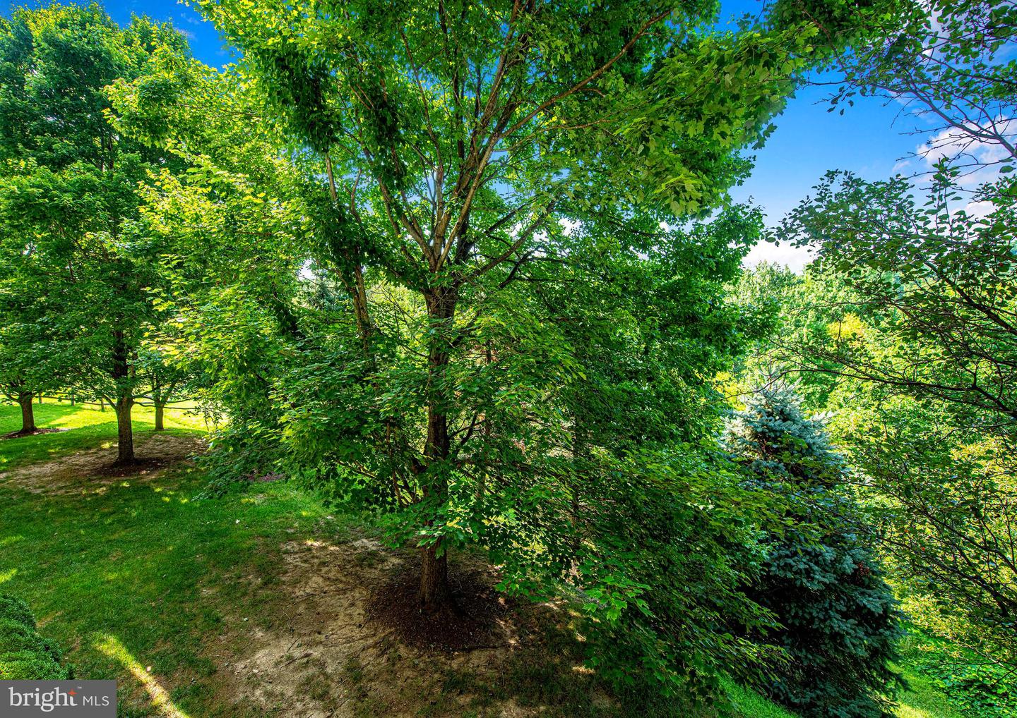 8809 Stone Ridge Cir #103 Property Photo 14