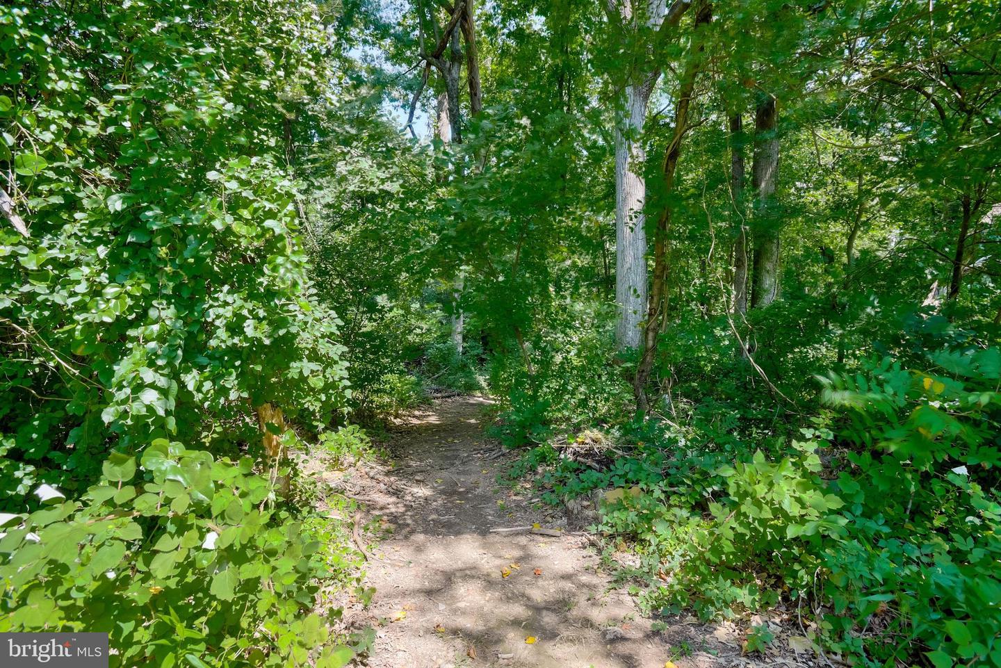 11733a Hamilton Pl Property Photo 51