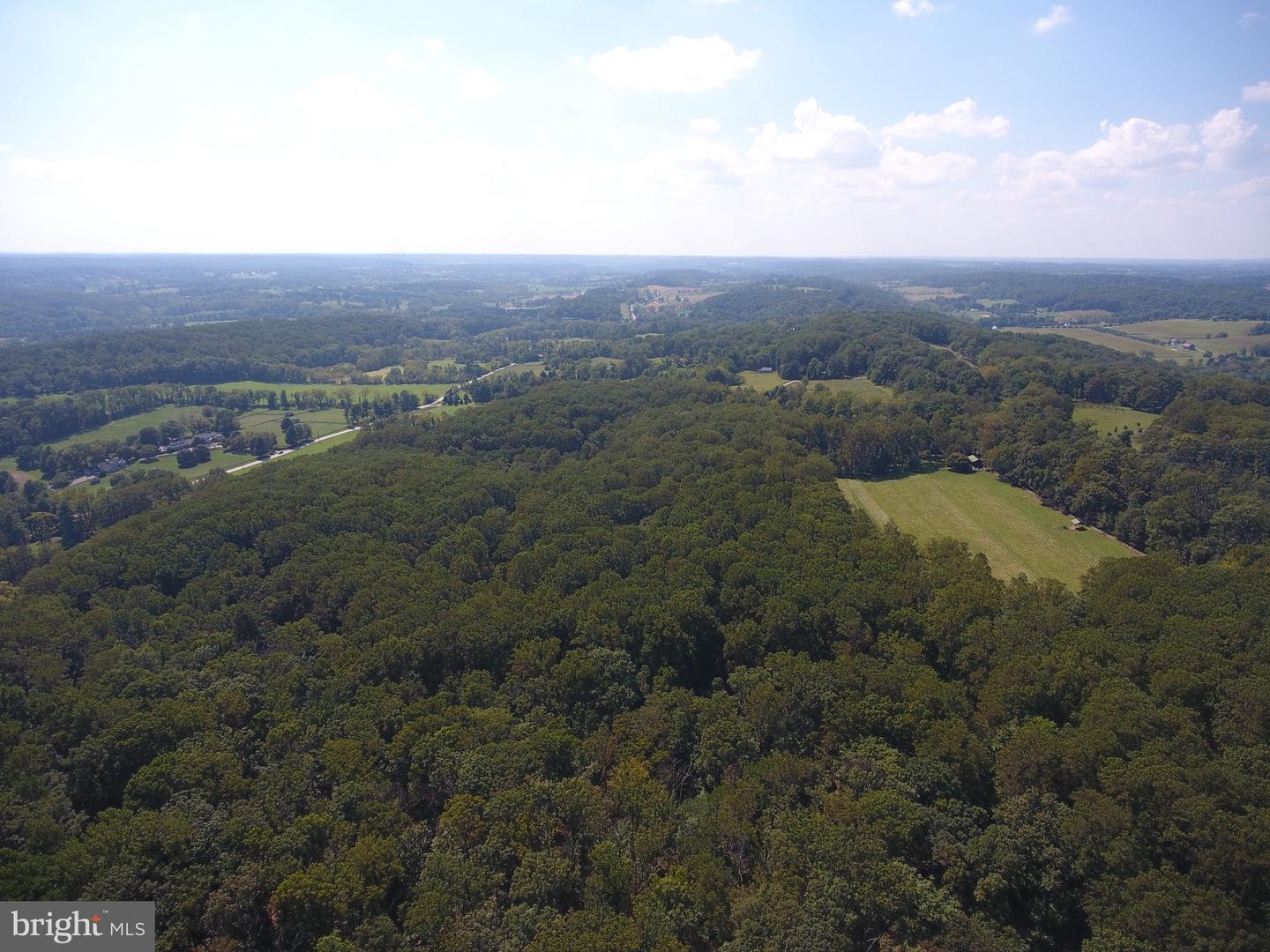 15651 Duncan Hill Rd Property Photo 6
