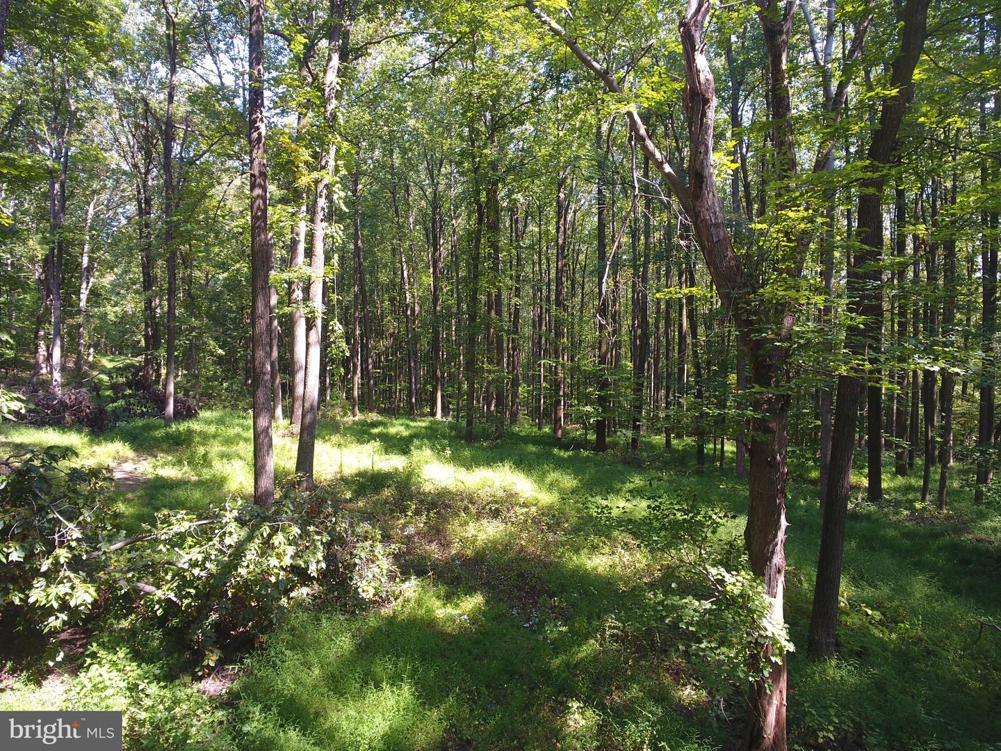 15651 Duncan Hill Rd Property Photo 8