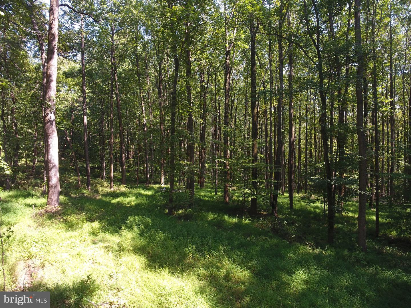 15651 Duncan Hill Rd Property Photo 9