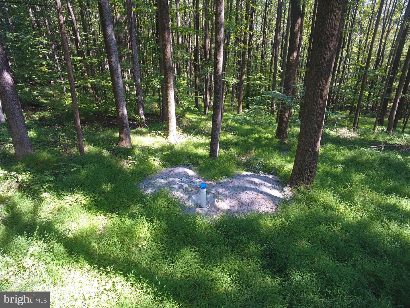 15651 Duncan Hill Rd Property Photo 10