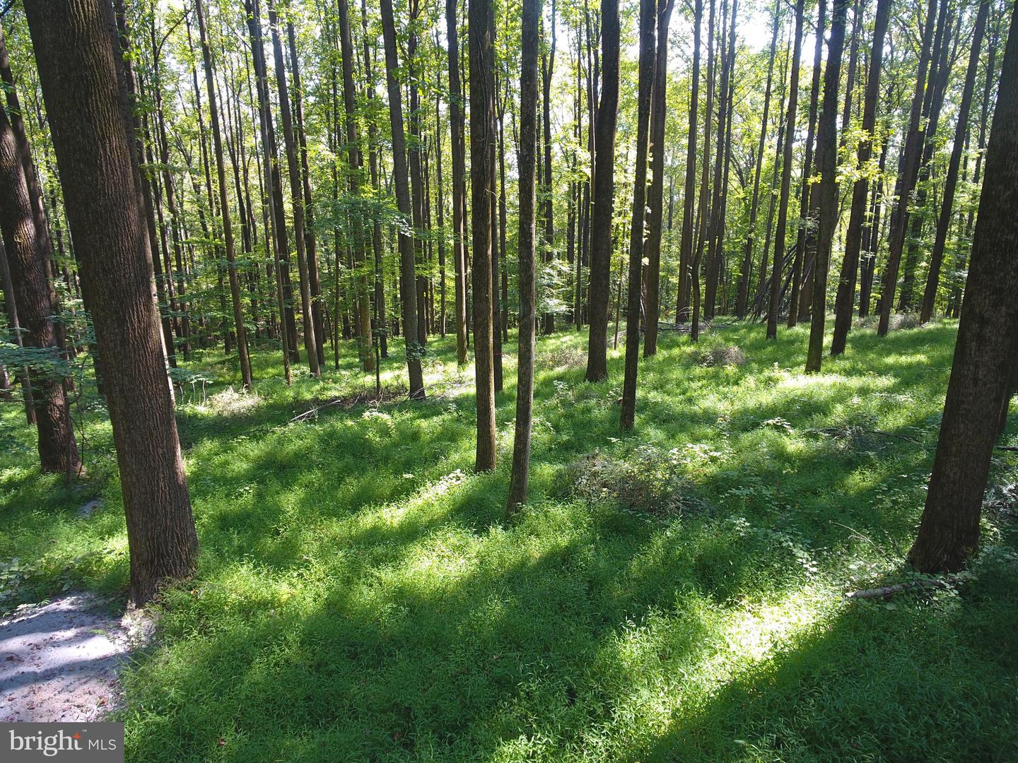 15651 Duncan Hill Rd Property Photo 11