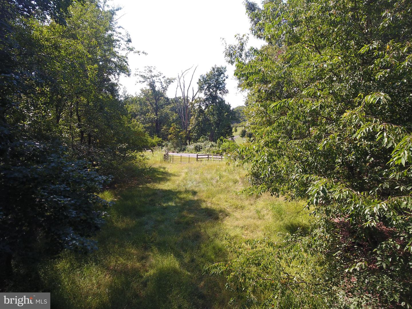 15651 Duncan Hill Rd Property Photo 12
