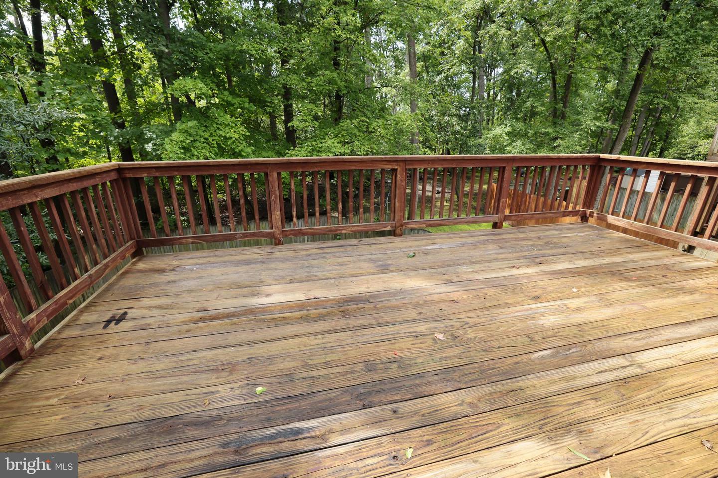 30 Flaxleaf Ct Property Photo 26