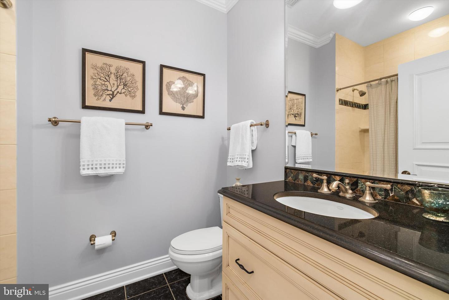 2605 Chestnut Woods Ct Property Photo 49