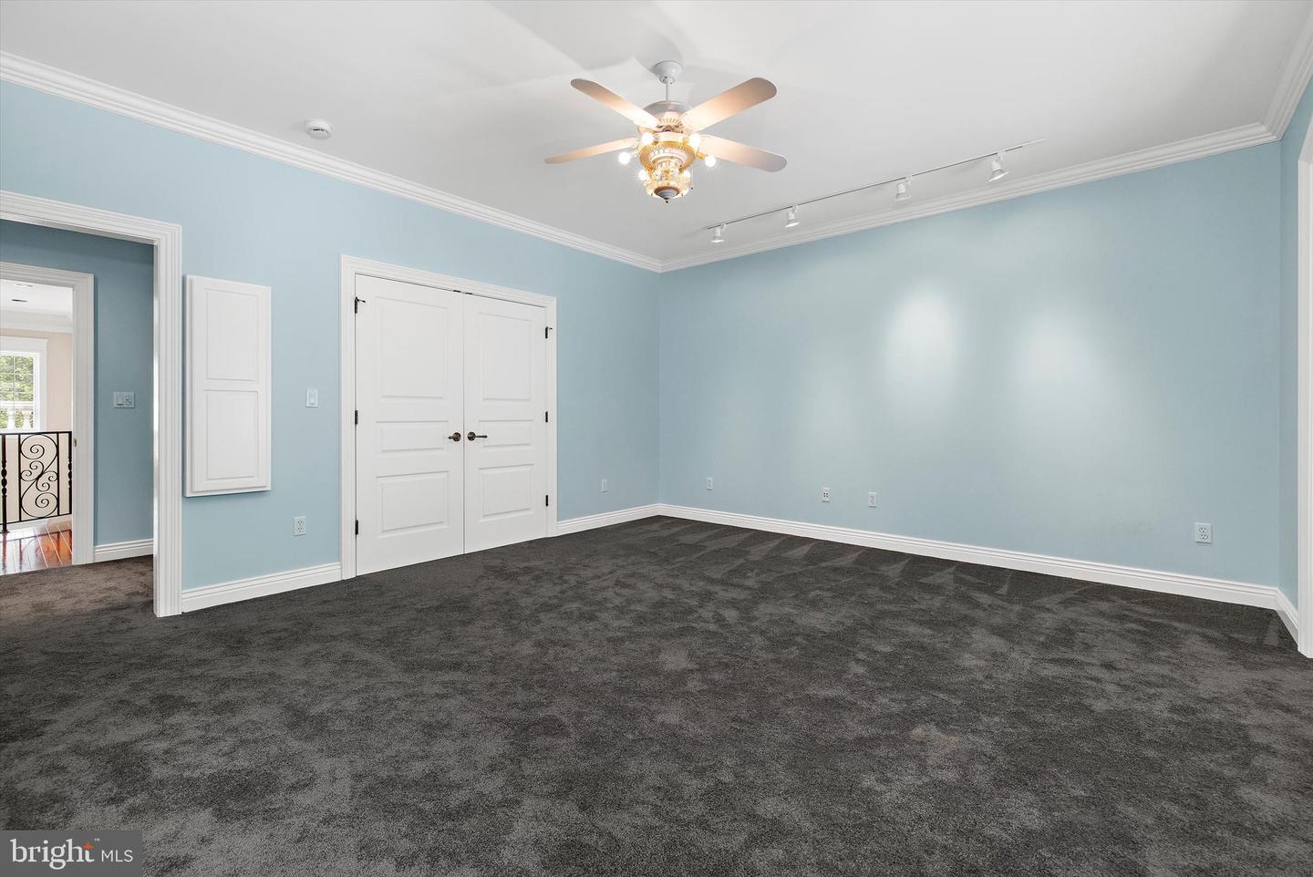 2605 Chestnut Woods Ct Property Photo 52