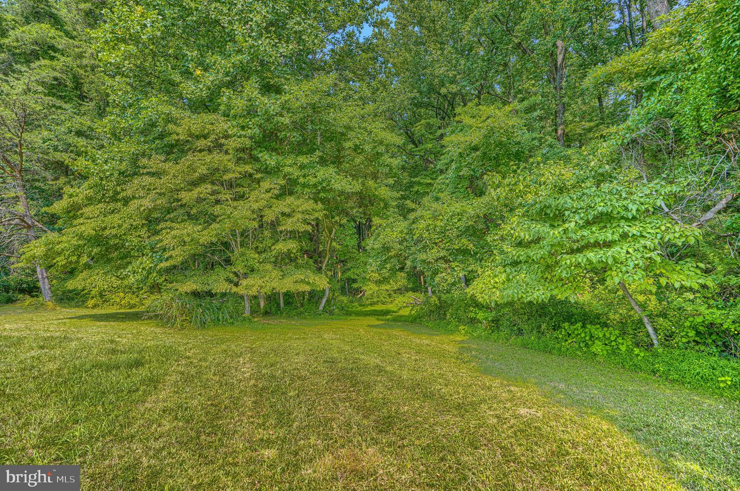 Poplar Hill Rd Property Photo 18