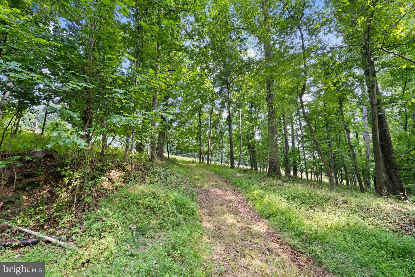 14002 Longnecker Property Photo 5
